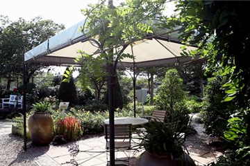 Mediterraner Garten – Tipps zur Gestaltung
