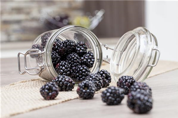 Obst im Kübel: Brombeeren