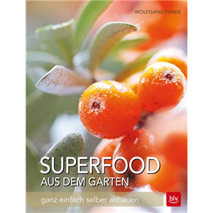 Buch des Monats Februar 