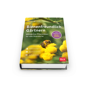 Buch des Monats Mai