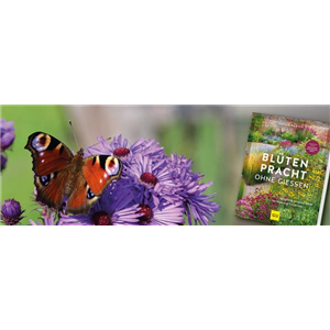Buch des Monats Juli