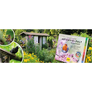 Buch des Monats Dezember
