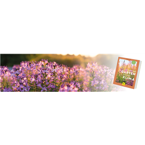 Buch des Monats Juli 2024